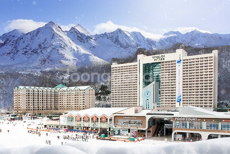 12월 14일 비발디파크 소노펠리체 가실분!!--0