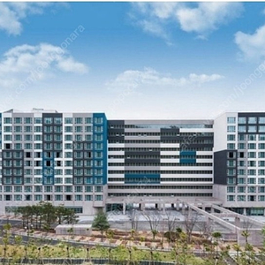 휘닉스파크 차로 3분 평창화이트호텔2박 넘겨요