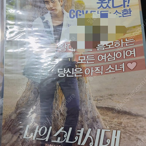 나의 소녀시대 대만 배우 왕대륙 친필 사인 포스터