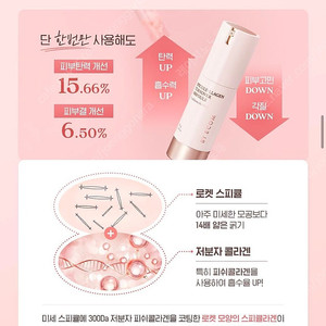 바이애콤 스피큘라겐 턴오버 앰플