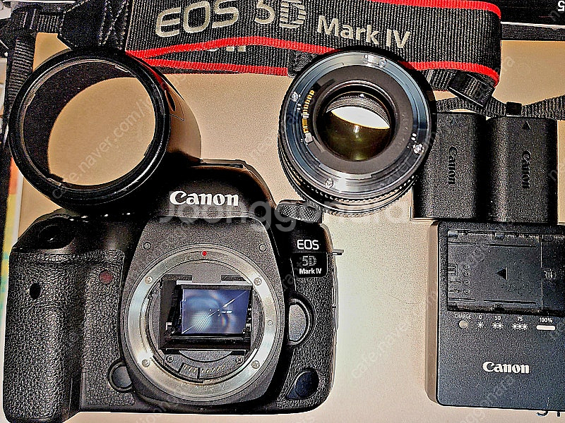 CANON 5D Mark4 오막포 바디렌즈일괄--6
