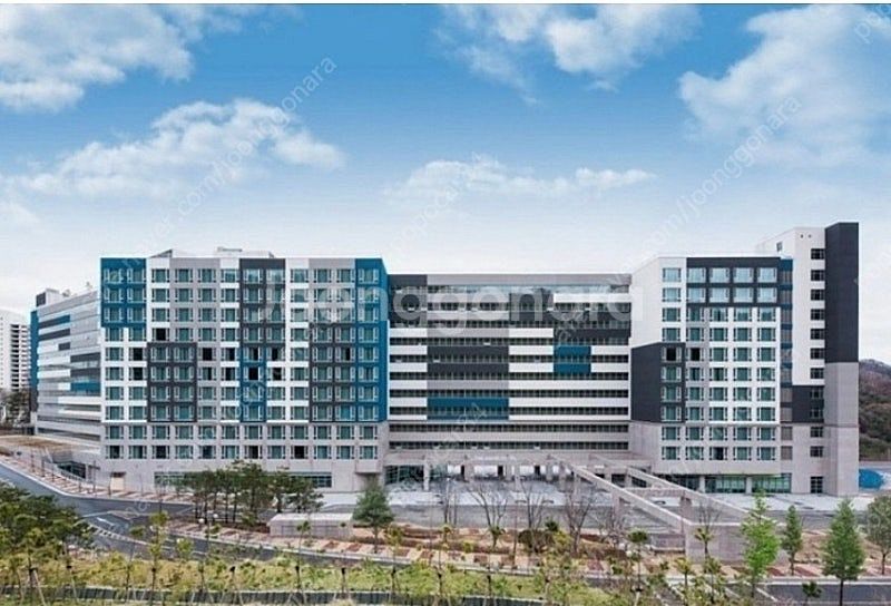 휘닉스파크 3분거리 호텔 4.5만원에 드려요--0