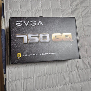 evga 750 gq gold 모튤러 파워