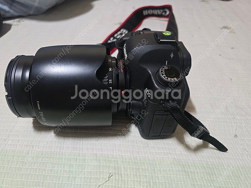 캐논 5D MK2 (5천컷대) + 24-70 2.8(구...--0