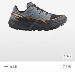 살로몬 썬더크로스 GTX (270)