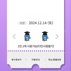 12월 14일(토) 롯데월드 매직패스 5회권 2장.