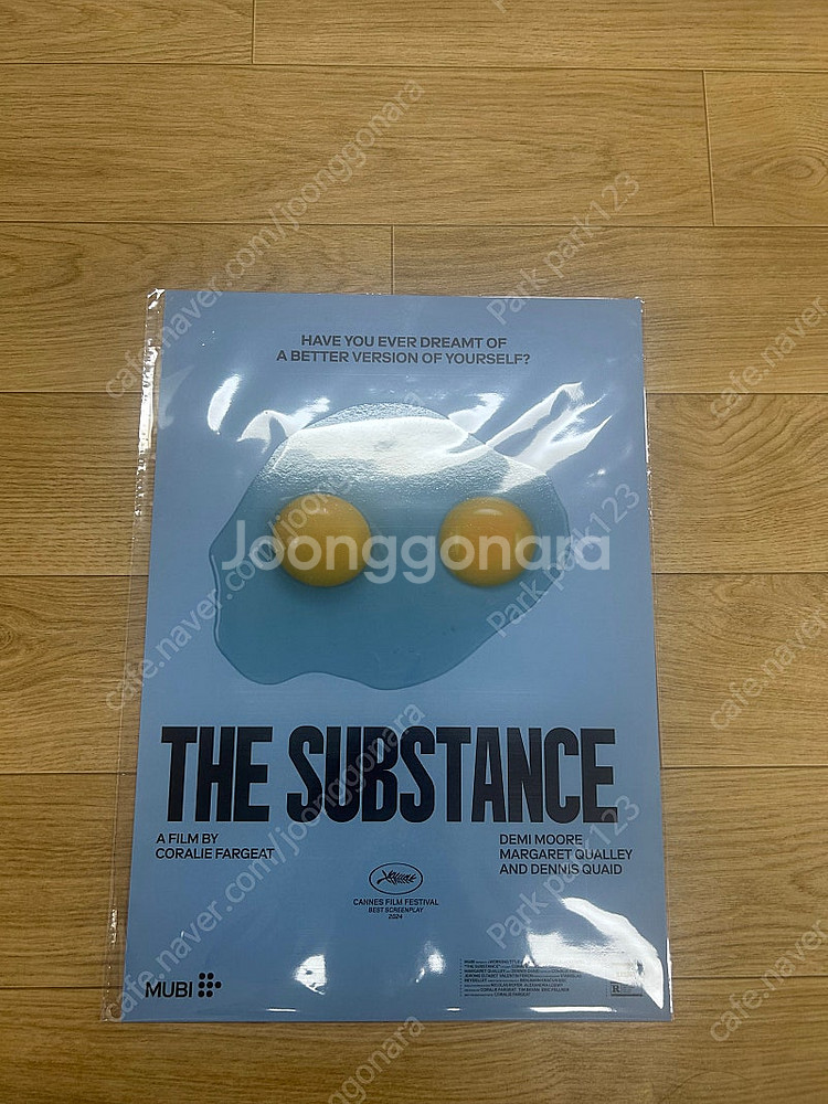서브스턴스 분열포스터 팝니다--0