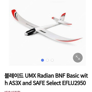 입문용 RC비행기 Eflite UMX Radian BNF