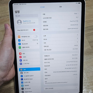아이패드 프로 11 1세대 64gb 셀룰러 40만 배터리98% 안전거래환영