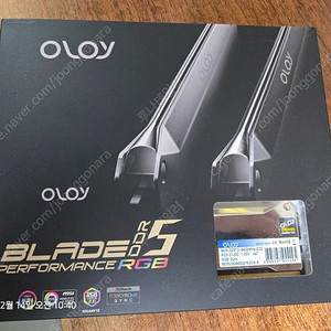 DDR5 6400 CL32 1.35v OLOY 64 GB 하이닉스 A