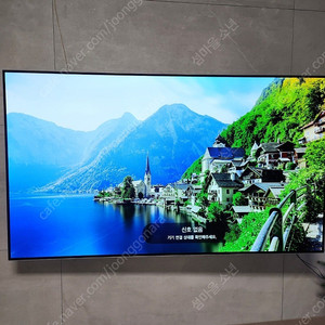 lg oled tv 번인증상 티비 판매