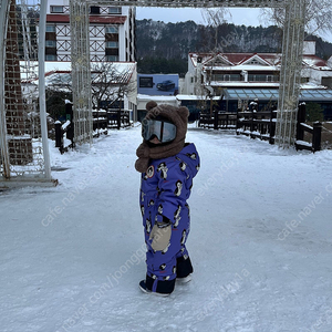 비발디파크 조식