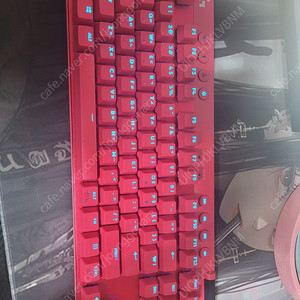 로지텍 gpro x tkl 핑크 택타일 갈축 택포 18