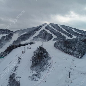 웰리힐리 스키장 관광곤돌라 왕복이용권 3매 판매 / 웰리힐리 콘도예약가능