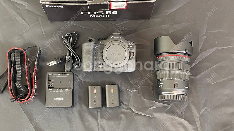 급처) 캐논 EOS R6mkII + RF24-105 F...--0