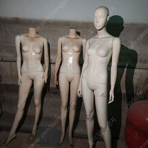 마네킹