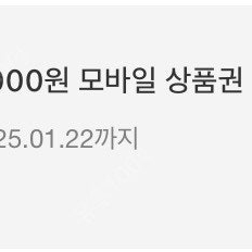 캐시딜상품권1천원 500원에 팜