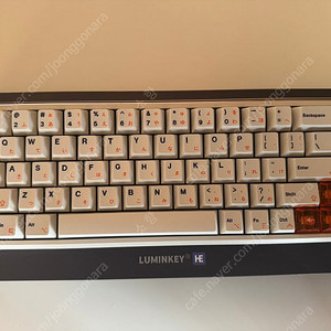 Luminkey magger68he 프로페셔널 팝니다