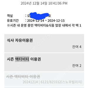 휘닉스파크 액티비티 이용권 12월 15일 일요일