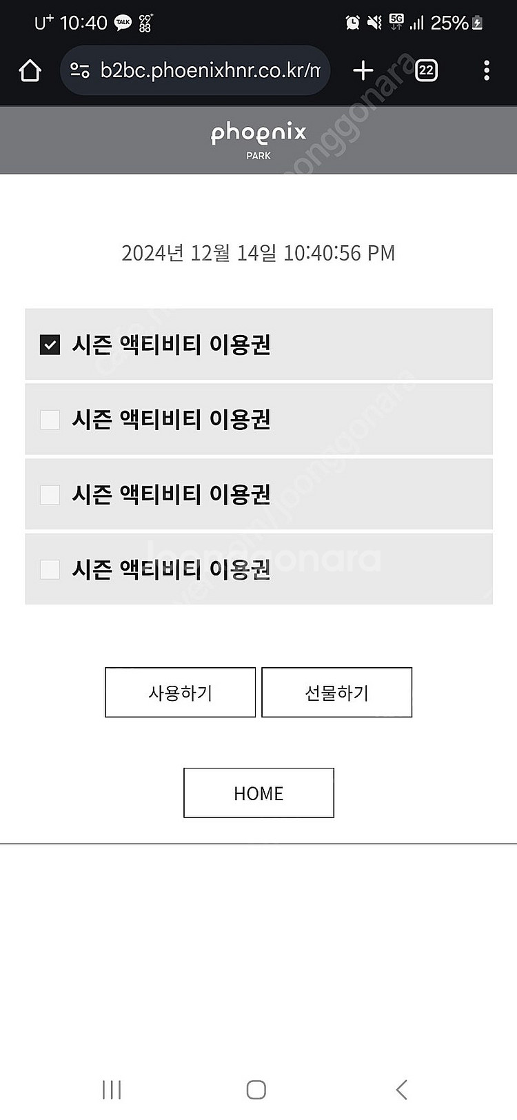 휘닉스파크 액티비티 이용권 12월 15일 일요일--1