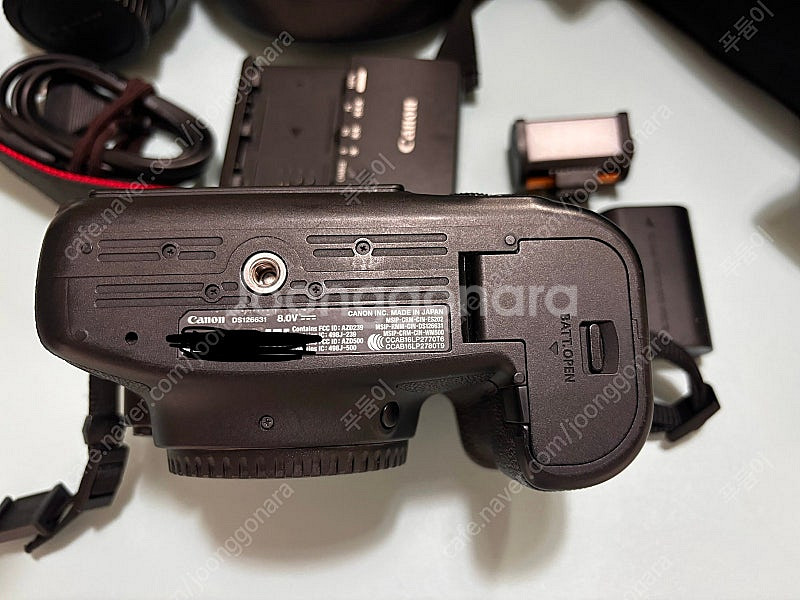 캐논 6d mark2, ef 24-105 f4 ii--4