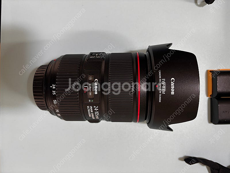 캐논 6d mark2, ef 24-105 f4 ii--5