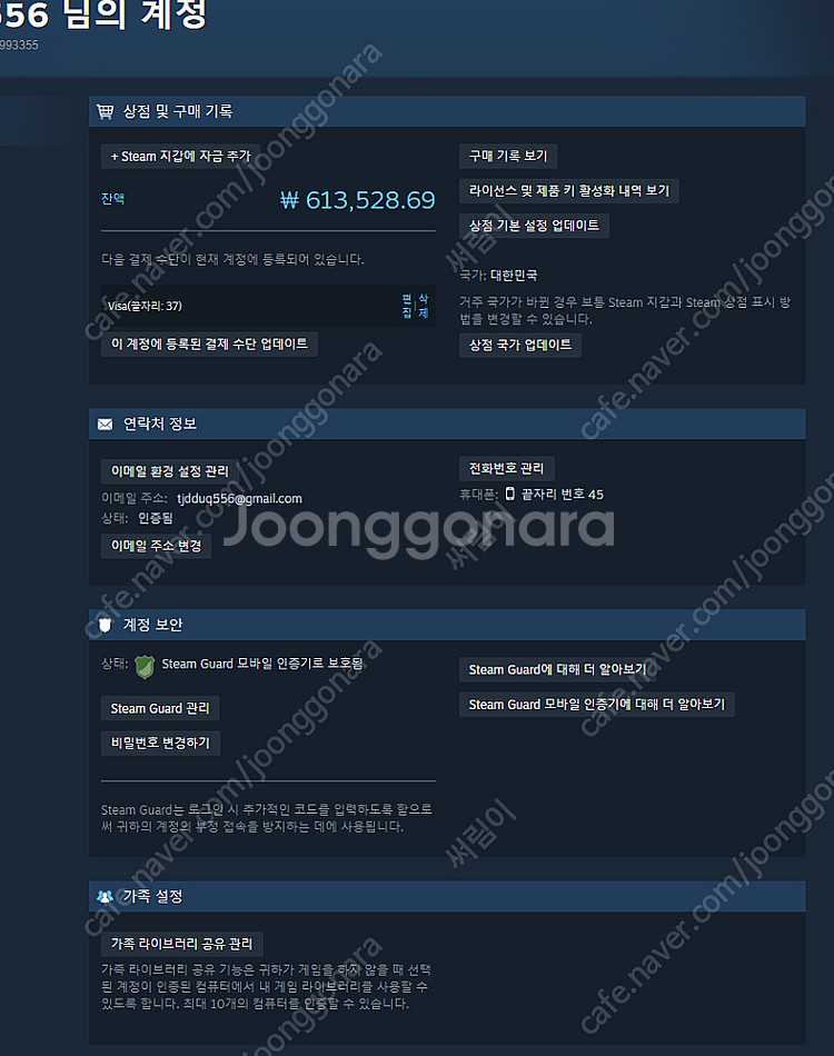 스팀 선물식 80% 판매--0