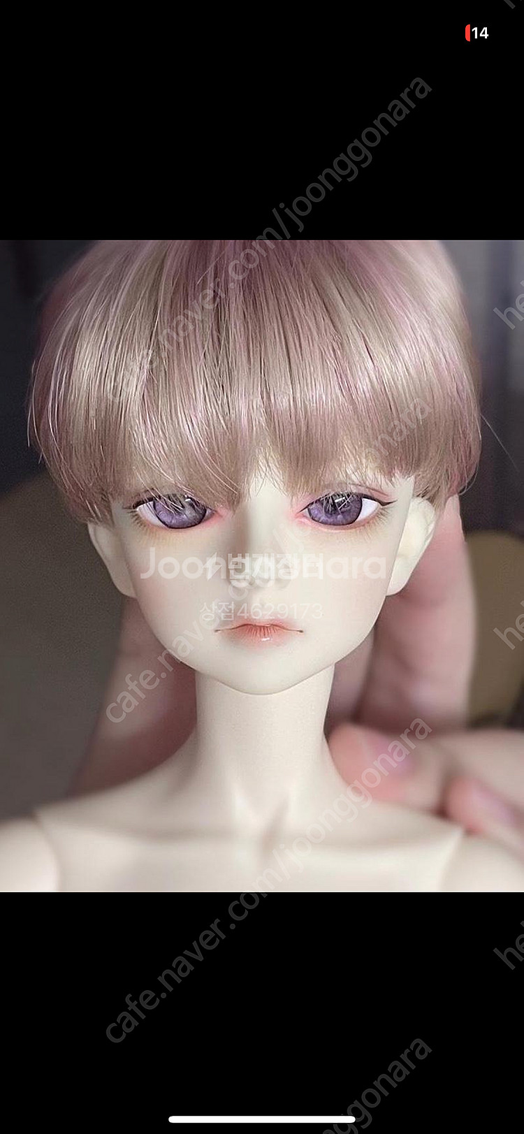 리틀모니카 리틀클리프 로라 구관 구체관절인형 판매 교판...--0