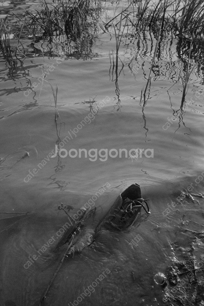 올림푸스 XA2 레드 판매합다.--6