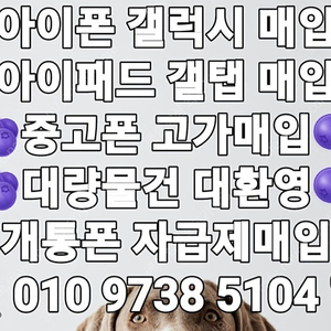 !당일매입! 아이폰16 프로 맥스 Z폴드6 Z플립6 15 플러스 프로 맥스 Z폴드5 Z플립5 S23 S24 플러스 울트라 아이패드 프로 에어 탭 워치 에어팟 중고폰 파손폰 유심기