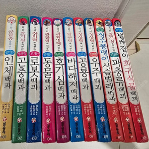 글송이 어린이 백과사전 11권 택포2만