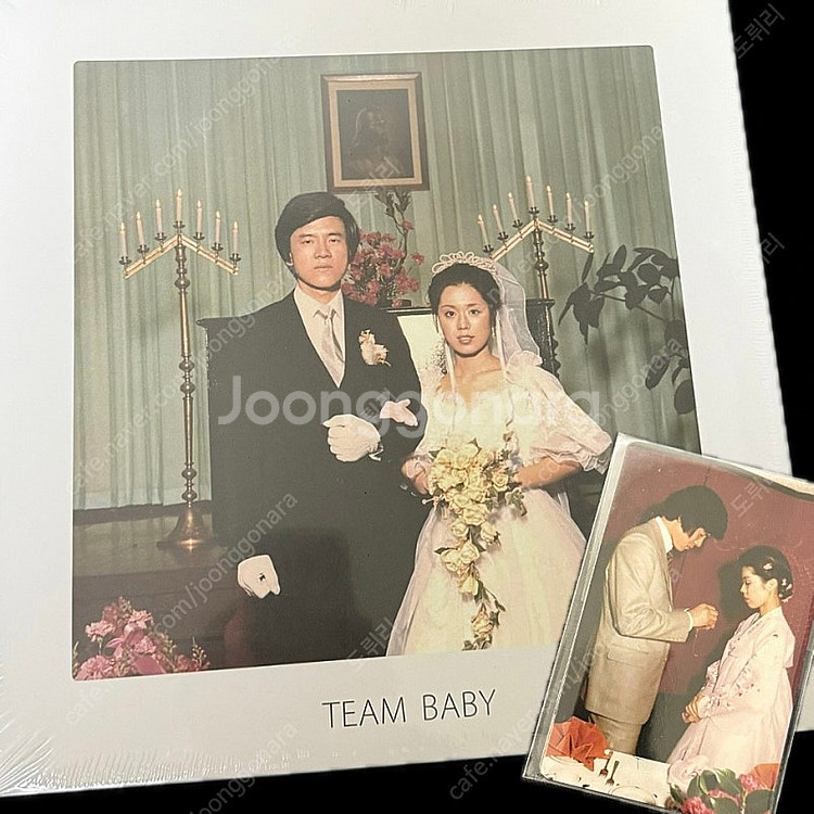 [미개봉 한정판]검정치마 TEAM BABY LP--0