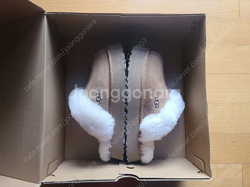 어그 디스케트37--1