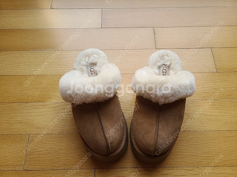 어그 디스케트37--2