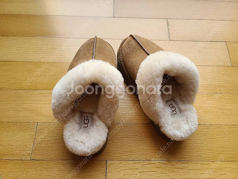 어그 디스케트37--3