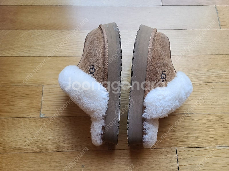 어그 디스케트37--5