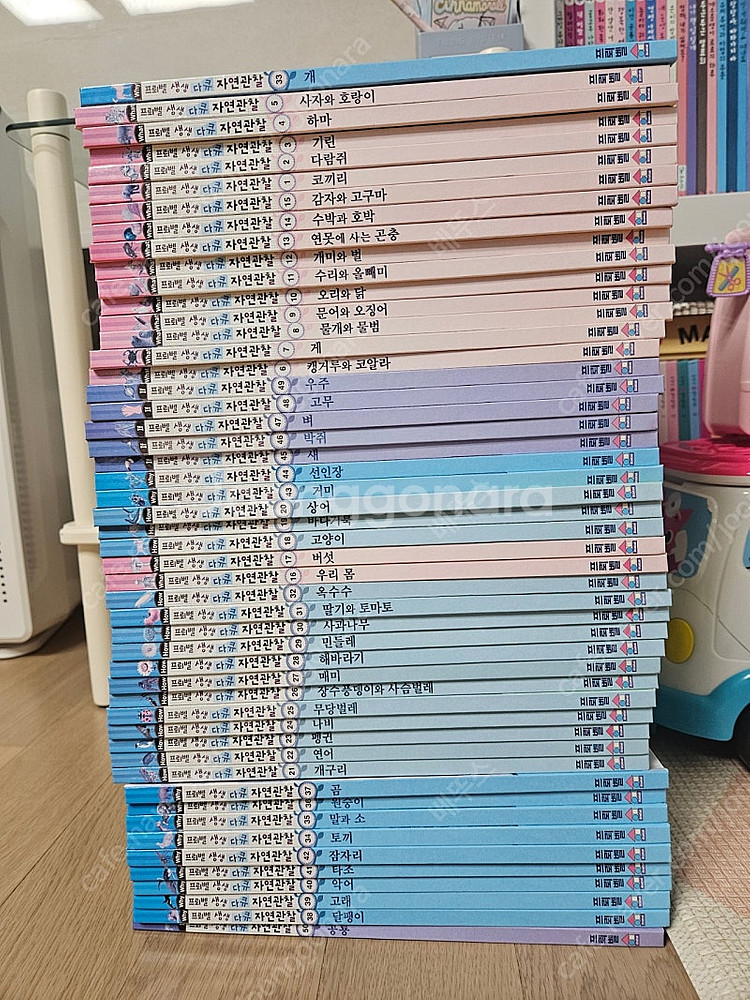 프뢰벨 자연관찰--0