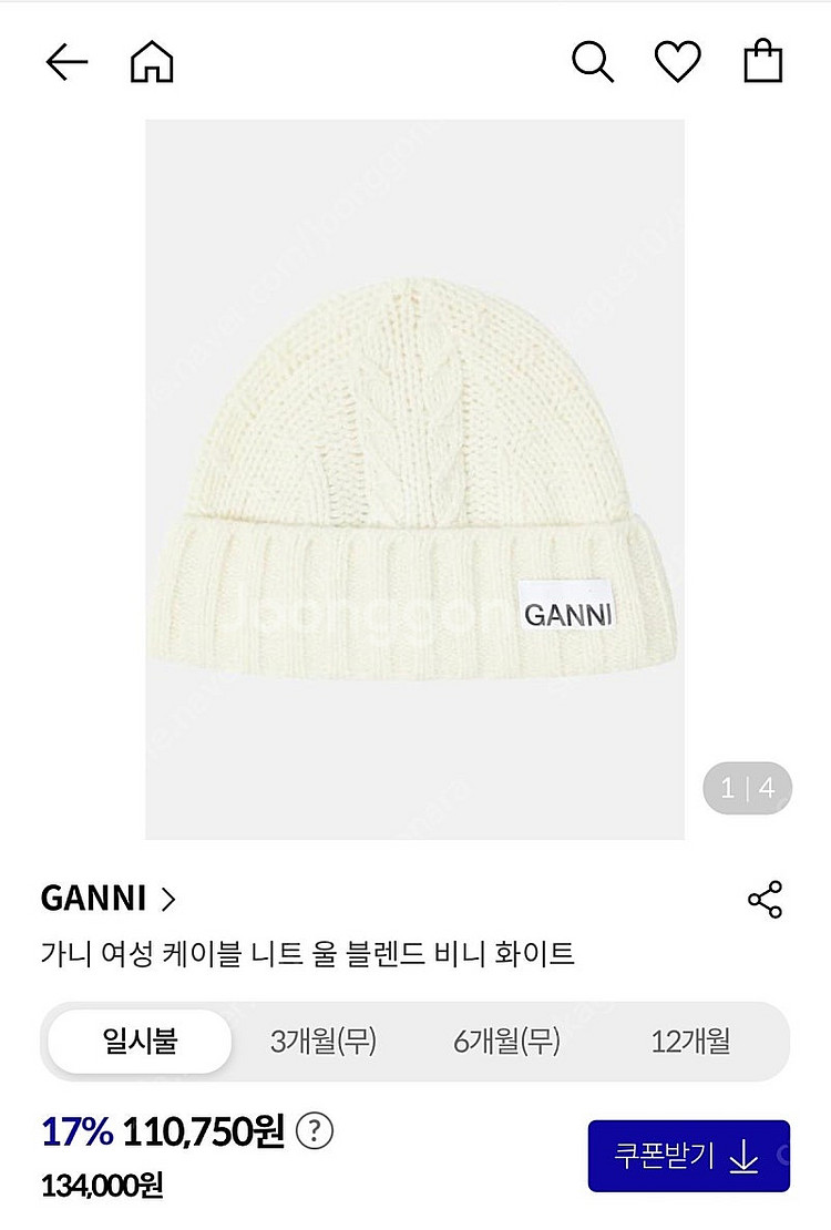 가니 비니--1