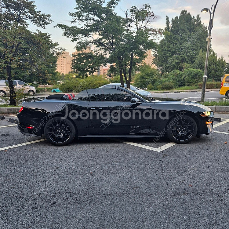 2021년식 머스탱 2.3 컨버터블 6.5세대 리스 승...--6
