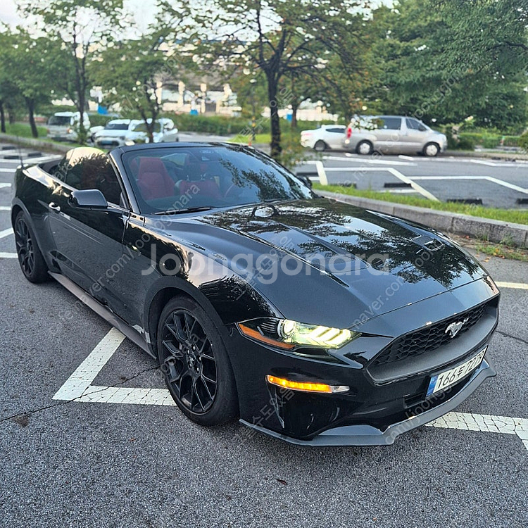 2021년식 머스탱 2.3 컨버터블 6.5세대 리스 승...--7