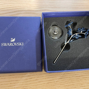 스와로브스키 Swarovski Flower Dreams Crystal FORGET ME NOT