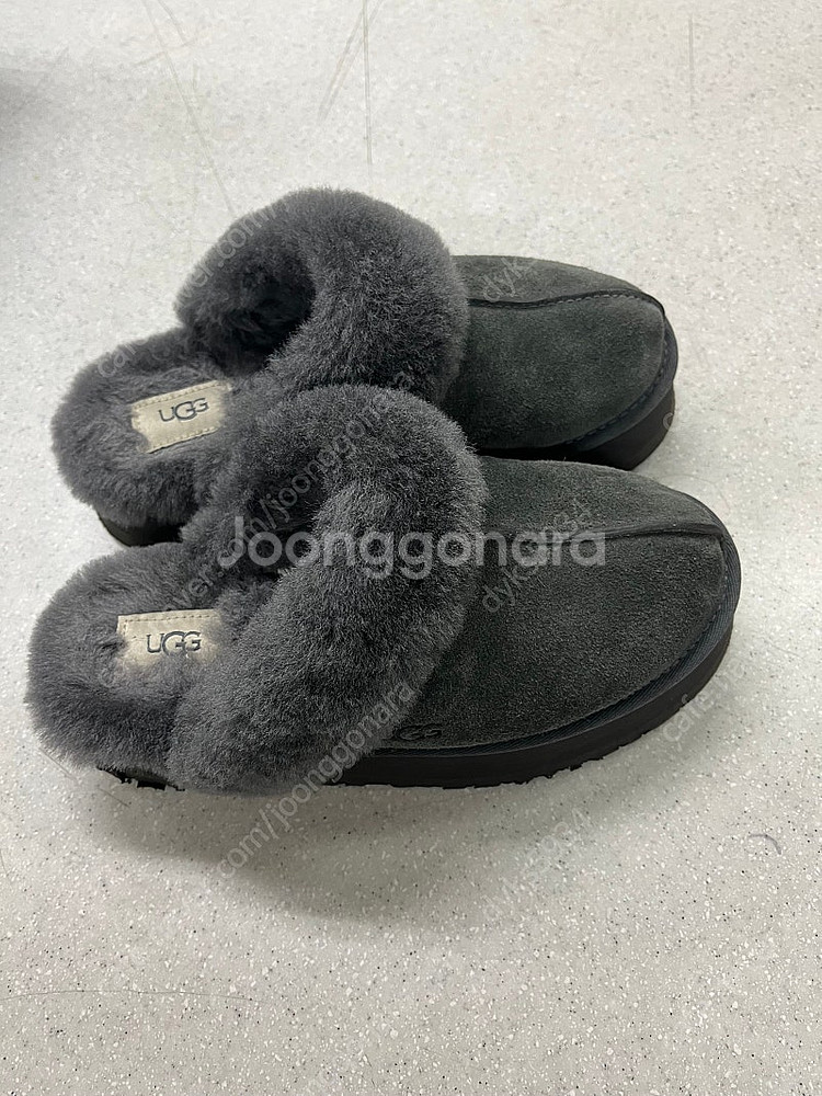 미국 Ugg 다스케트 (정품)--5