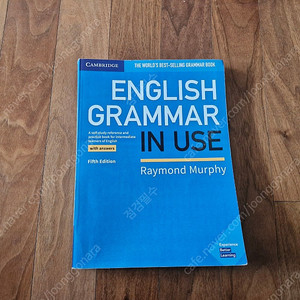 English Grammar in Use -Raymond Murphy