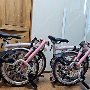 [1대 판매완료] 국내 정식 Brompton Cherry Blossom 브롬톤 체리블라썸 아시아 한정판 미개봉 새제품 판매합니다