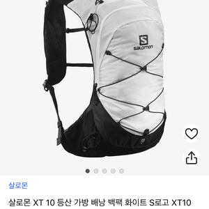 salomon xt10 살로몬백팩/배낭/경량/미니 (화이트)