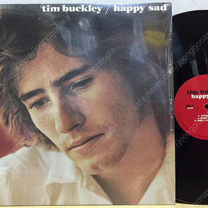 LP ; tim buckley 팀 버클리 엘피 음반 3장 happy sad, live 포크 락 명반 folk rock