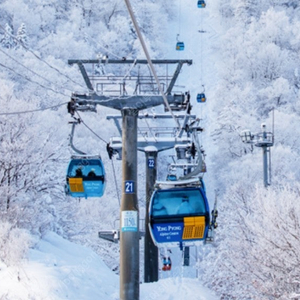 용평 발왕산케이블카/눈썰매장/ 조식부페/딥다이브~비발디 스노위랜드​