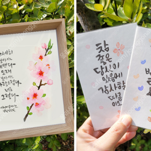 감성 수채화 & 캘리그라피로 의미있는 선물 제작해 드립니다. (손글씨 선물,켈리그라피,캘리그래피)