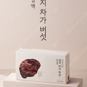 정관장 영지 차가버섯 달임액 1박스 90ml 30포 정관장 최신 정품 (선물용 쇼핑백 포함)