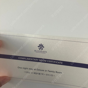 양평 블룸비스타 1박